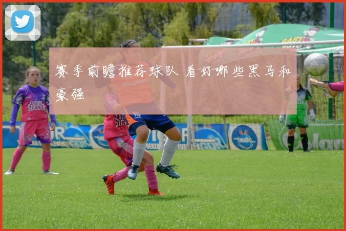 赛季前瞻推荐球队 看好哪些黑马和豪强