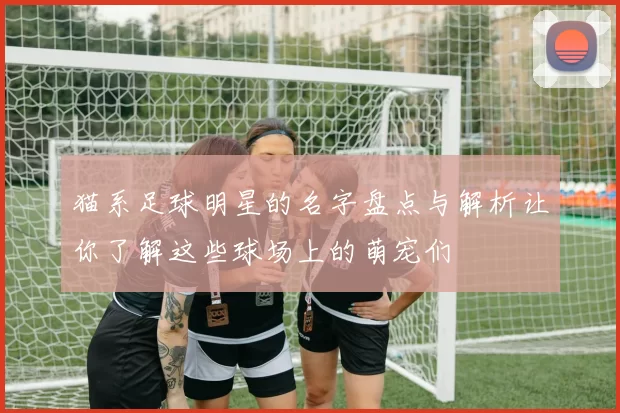 猫系足球明星的名字盘点与解析让你了解这些球场上的萌宠们
