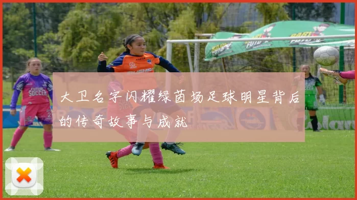大卫名字闪耀绿茵场足球明星背后的传奇故事与成就