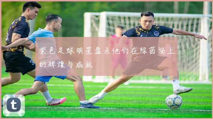 紫色足球明星盘点他们在绿茵场上的辉煌与成就