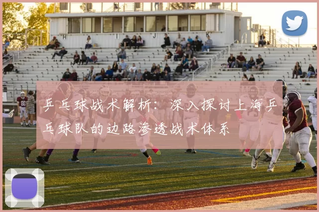 乒乓球战术解析：深入探讨上海乒乓球队的边路渗透战术体系