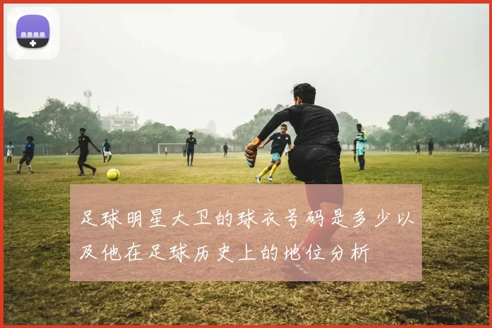 足球明星大卫的球衣号码是多少以及他在足球历史上的地位分析