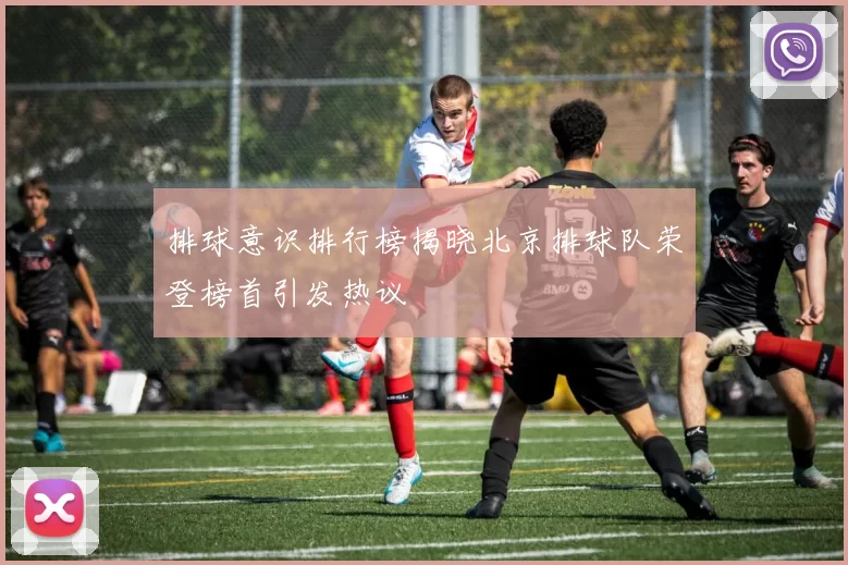 排球意识排行榜揭晓北京排球队荣登榜首引发热议