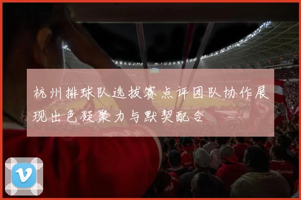 杭州排球队选拔赛点评团队协作展现出色凝聚力与默契配合