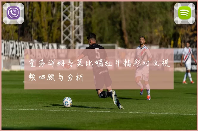 霍芬海姆与莱比锡红牛精彩对决视频回顾与分析