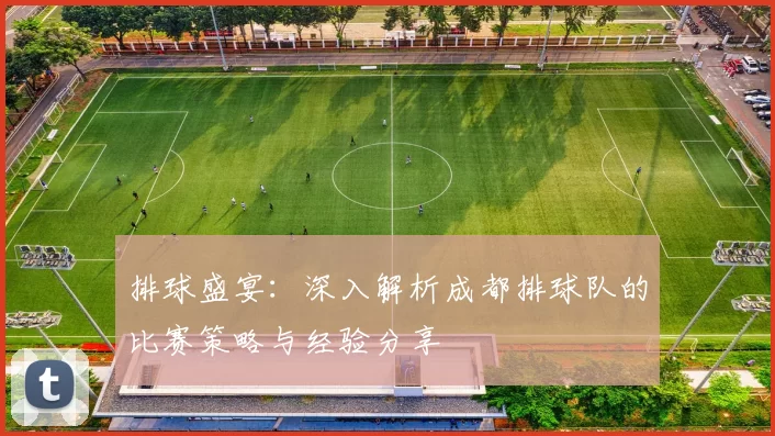 排球盛宴：深入解析成都排球队的比赛策略与经验分享