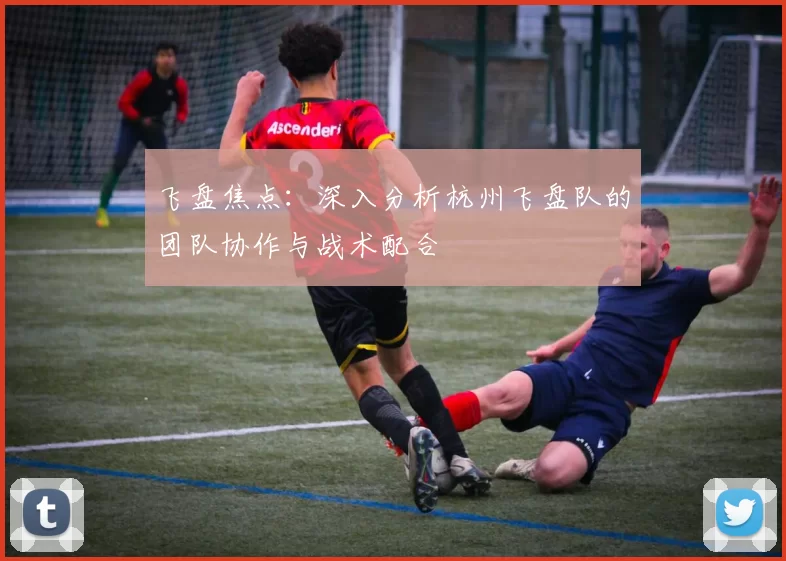 飞盘焦点：深入分析杭州飞盘队的团队协作与战术配合