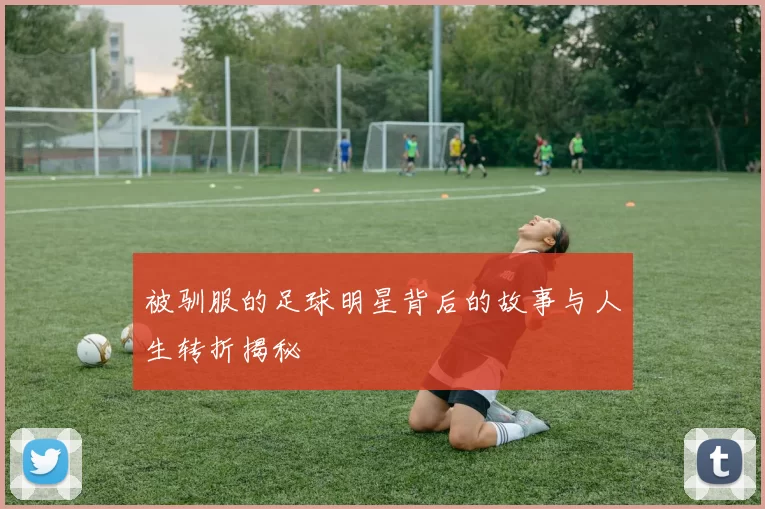 被驯服的足球明星背后的故事与人生转折揭秘