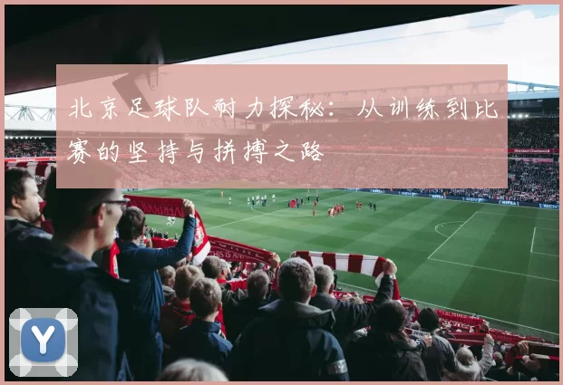 北京足球队耐力探秘：从训练到比赛的坚持与拼搏之路