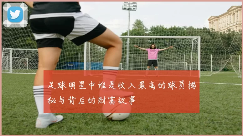 足球明星中谁是收入最高的球员揭秘与背后的财富故事