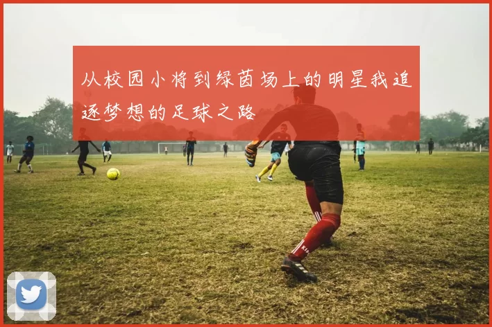 从校园小将到绿茵场上的明星我追逐梦想的足球之路