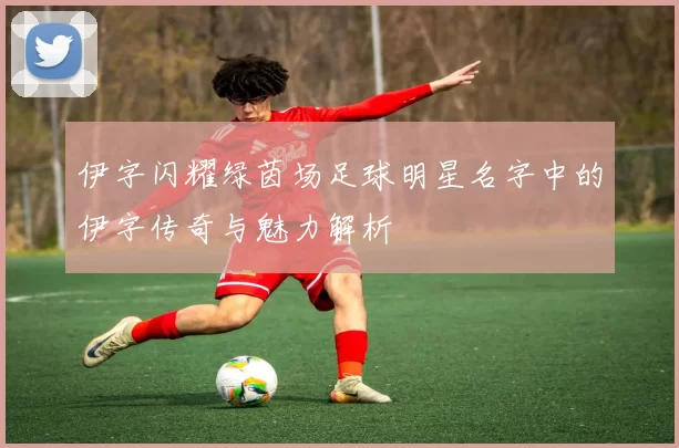 伊字闪耀绿茵场足球明星名字中的伊字传奇与魅力解析