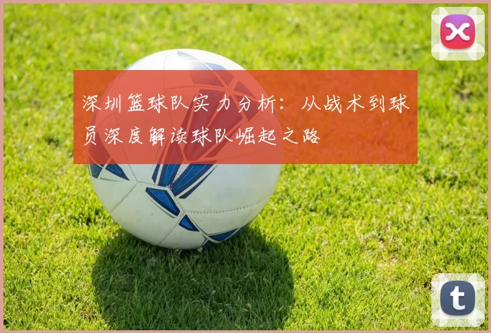 深圳篮球队实力分析：从战术到球员深度解读球队崛起之路