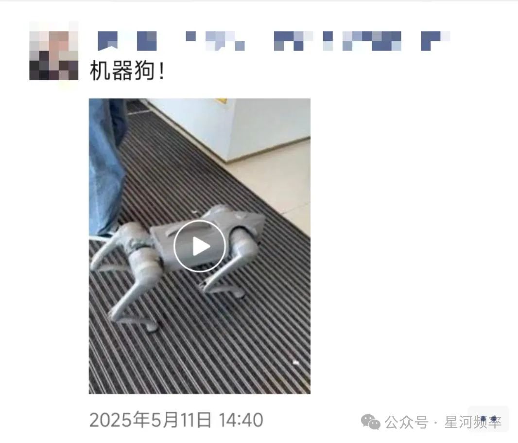 星空·体育中国综合季度支出上万万机械人租赁成暴利行业(图11)